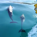 Kefalos アパート アルゴストリオン
